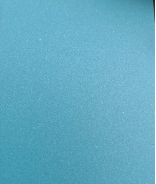 [BR026007001000K1247004] Bristol blu e forte 70x100x260gsm   10027771