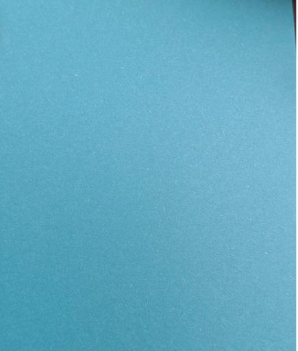 [BR026007001000K1247004] Bristol blu e forte 70x100x260gsm   10027771