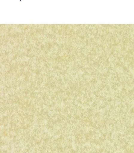 [LS009007001000K3205004] Pergamenata natyrale 70x100x90gsm   10021040