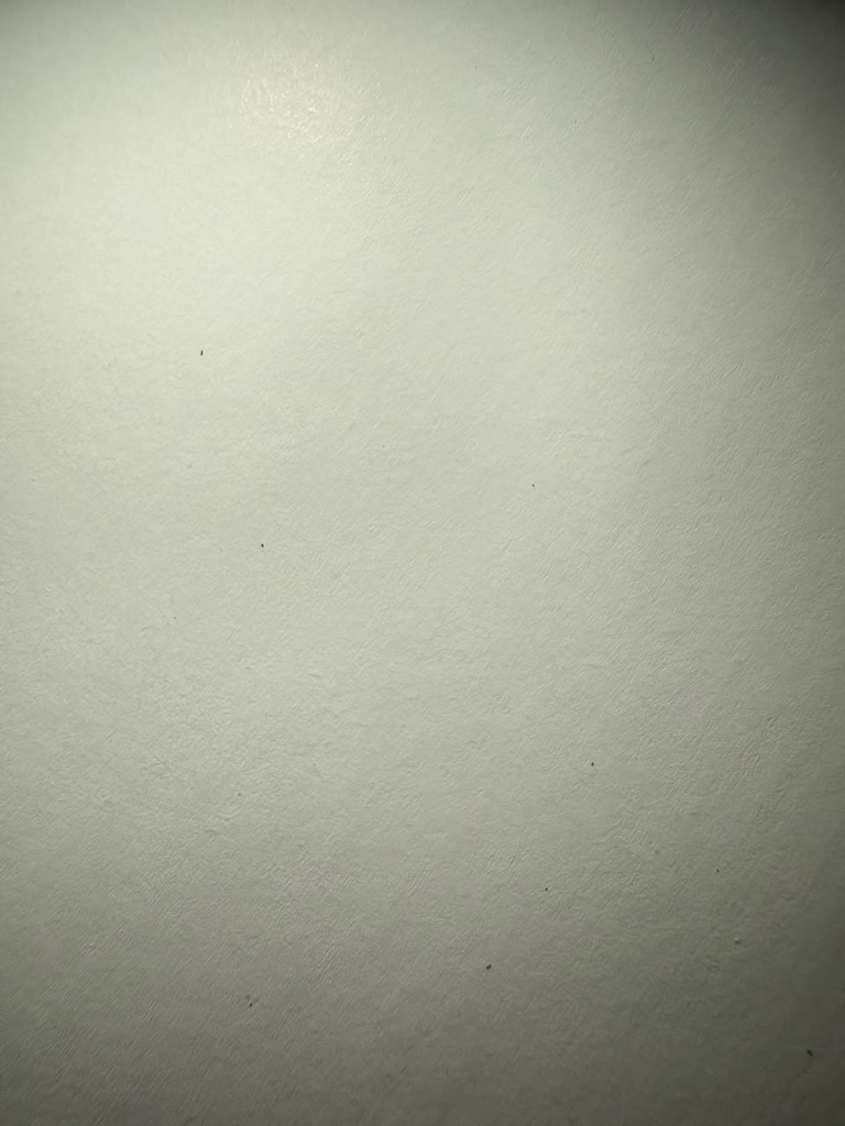 Mat krem 70x100x115gsm