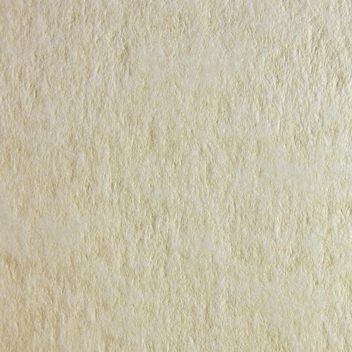[LS024007001000K2804004] Marina Conchiglia 70x100x240gsm   10021180