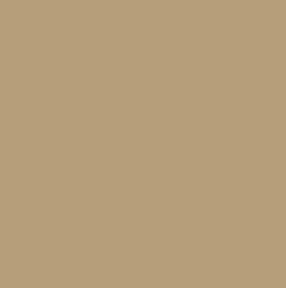 [BR017007001000K1235004] Bristol arre noce 70x100x170gsm   10027753