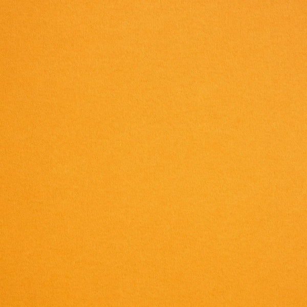 [LS021007001000K3139004] Sirio Gialloro 70x100x210gsm   10092838
