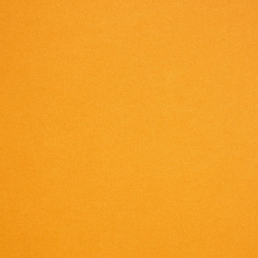 [LS021007001000K3139004] Sirio Gialloro 70x100x210gsm   10092838