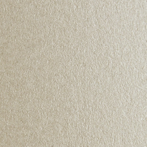 [LS030007201020K3003004] Sirio Pearl Oyster Shell 72x102x300gsm   10001028