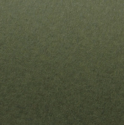 [LS025007201010K3161004] Tintoretto Ceylon Wasabi 72x101x250gsm   10002407